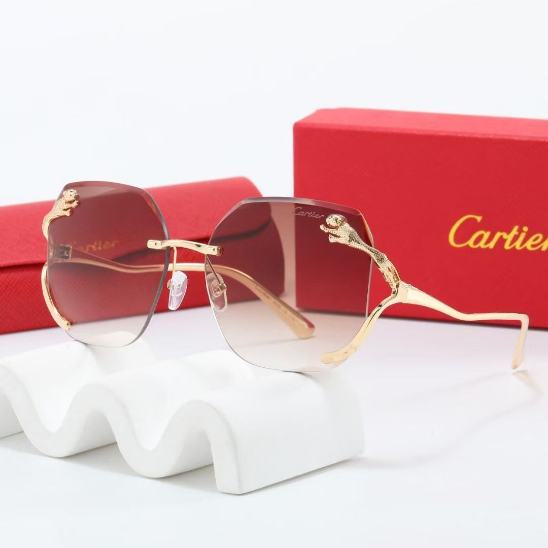 Car Sunglasses