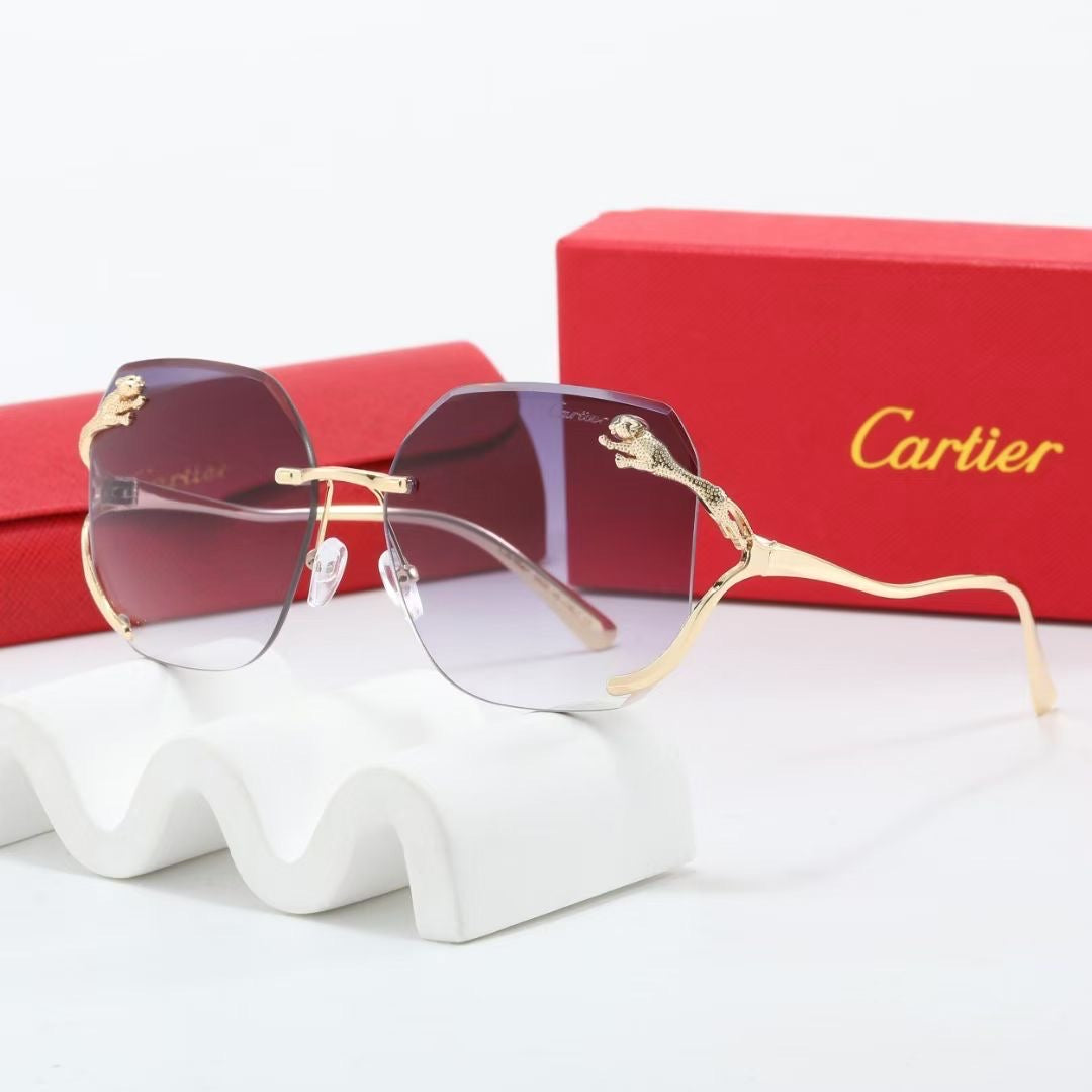 Car Sunglasses